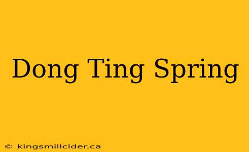 Dong Ting Spring