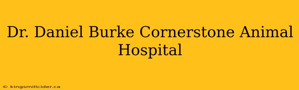 Dr. Daniel Burke Cornerstone Animal Hospital