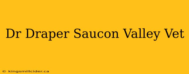 Dr Draper Saucon Valley Vet