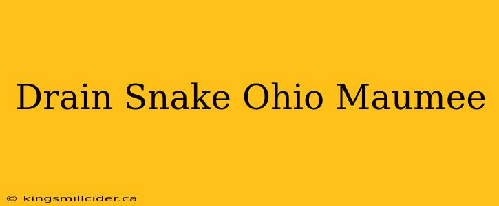 Drain Snake Ohio Maumee