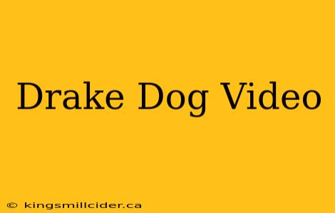 Drake Dog Video