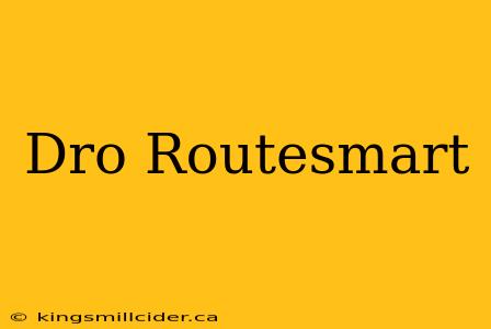 Dro Routesmart