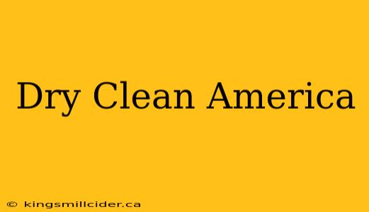 Dry Clean America