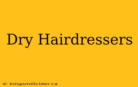 Dry Hairdressers