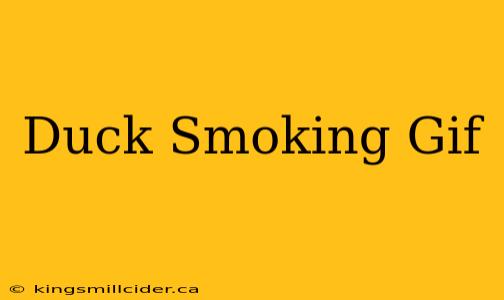 Duck Smoking Gif