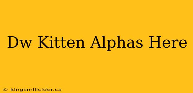 Dw Kitten Alphas Here