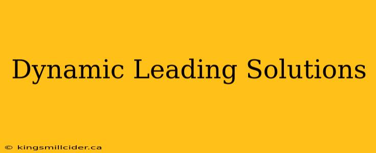 Dynamic Leading Solutions