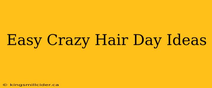 Easy Crazy Hair Day Ideas