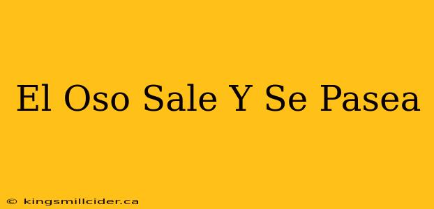 El Oso Sale Y Se Pasea