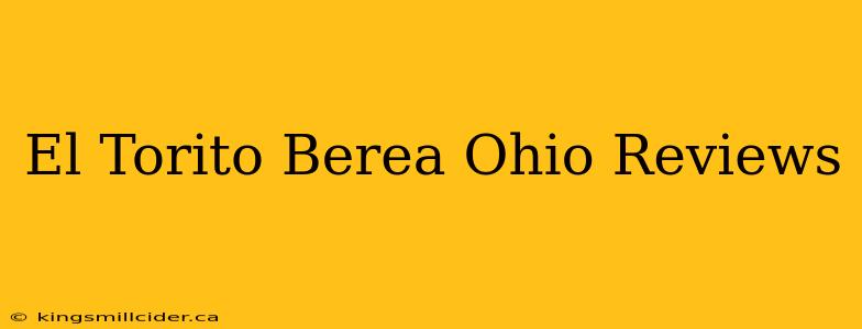 El Torito Berea Ohio Reviews