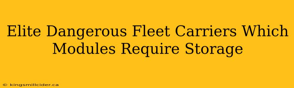 Elite Dangerous Fleet Carriers Which Modules Require Storage