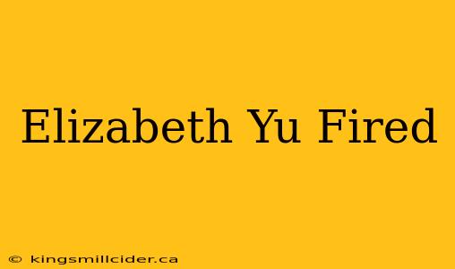 Elizabeth Yu Fired