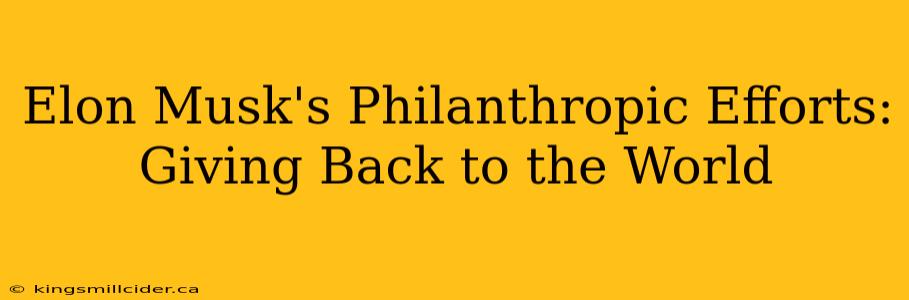 Elon Musk's Philanthropic Efforts: Giving Back to the World