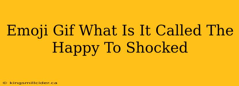 Emoji Gif What Is It Called The Happy To Shocked