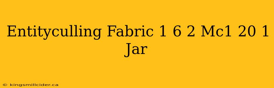 Entityculling Fabric 1 6 2 Mc1 20 1 Jar