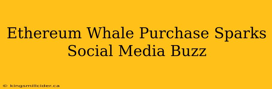 Ethereum Whale Purchase Sparks Social Media Buzz