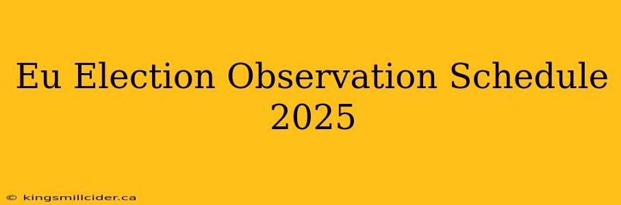 Eu Election Observation Schedule 2025