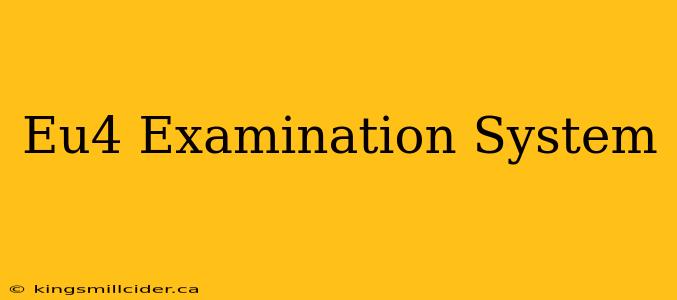 Eu4 Examination System