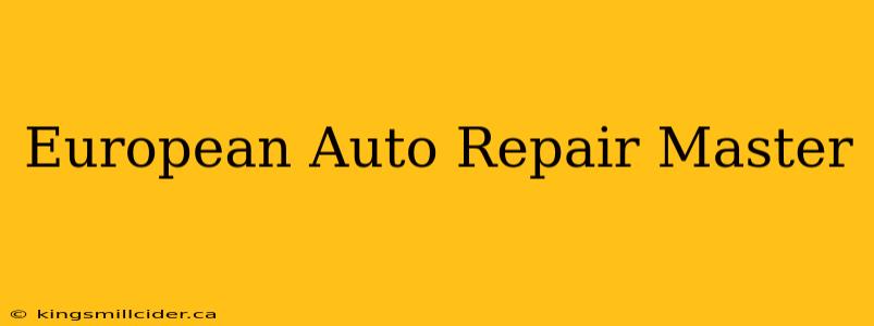 European Auto Repair Master