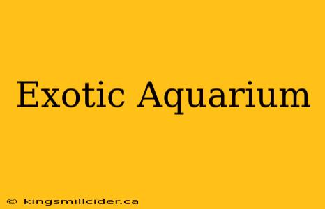 Exotic Aquarium