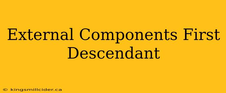 External Components First Descendant