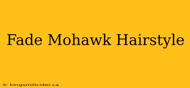 Fade Mohawk Hairstyle