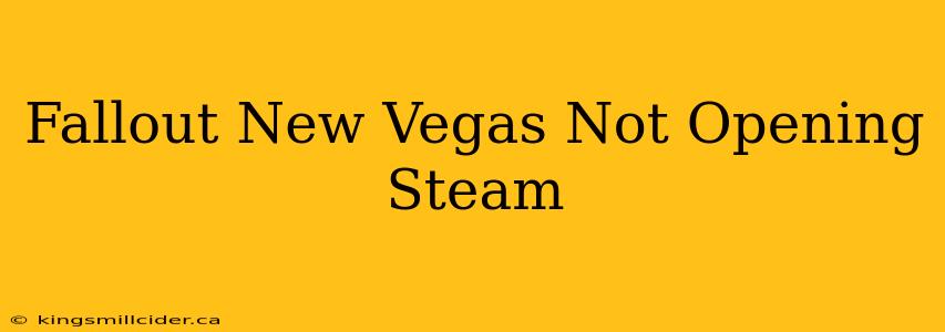 Fallout New Vegas Not Opening Steam