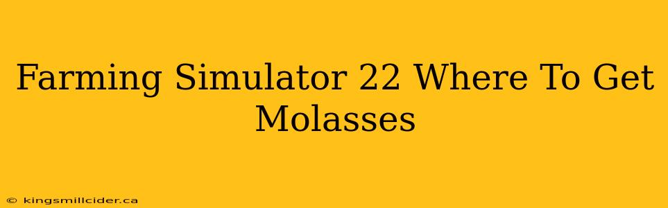 Farming Simulator 22 Where To Get Molasses