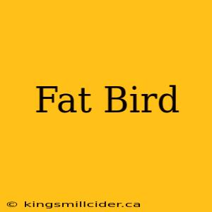 Fat Bird