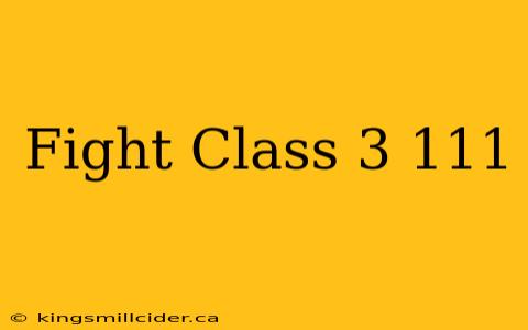 Fight Class 3 111