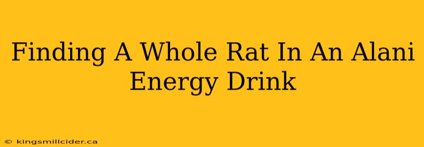 Finding A Whole Rat In An Alani Energy Drink