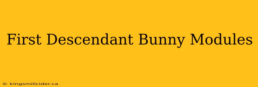 First Descendant Bunny Modules