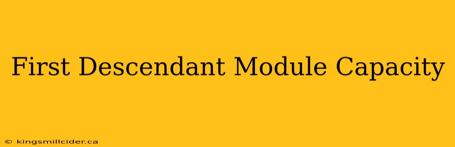 First Descendant Module Capacity