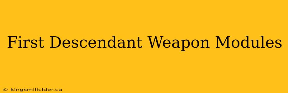 First Descendant Weapon Modules