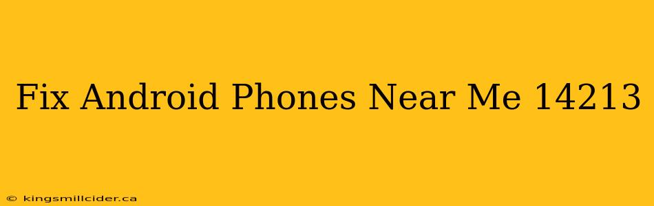 Fix Android Phones Near Me 14213