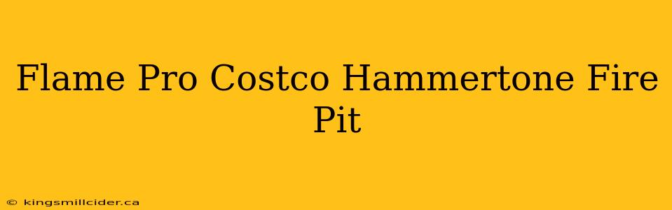 Flame Pro Costco Hammertone Fire Pit