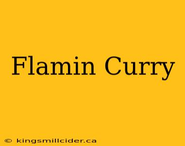 Flamin Curry