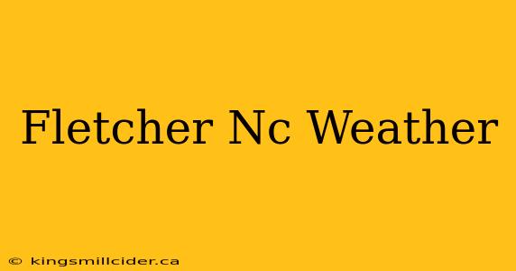 Fletcher Nc Weather