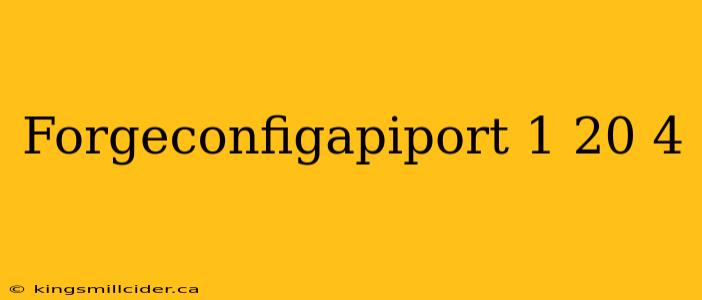 Forgeconfigapiport 1 20 4