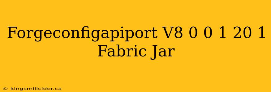 Forgeconfigapiport V8 0 0 1 20 1 Fabric Jar