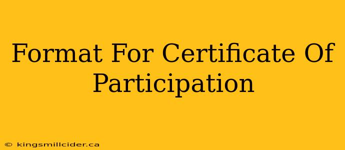 Format For Certificate Of Participation