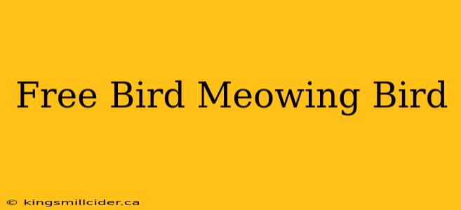 Free Bird Meowing Bird