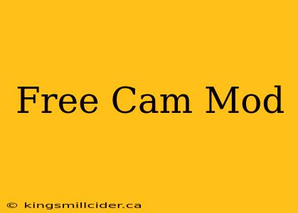 Free Cam Mod