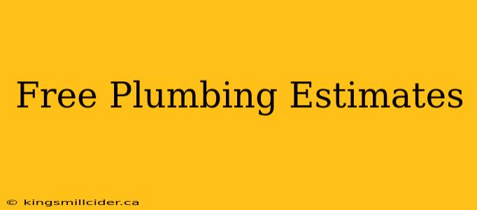 Free Plumbing Estimates