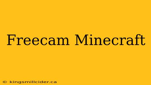 Freecam Minecraft