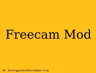 Freecam Mod