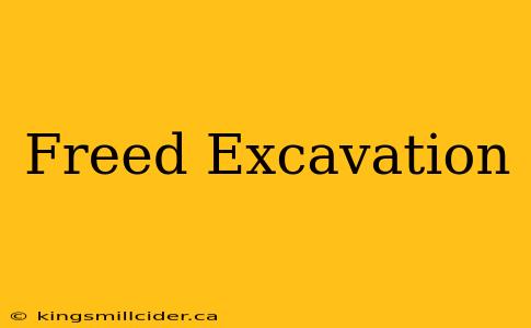 Freed Excavation