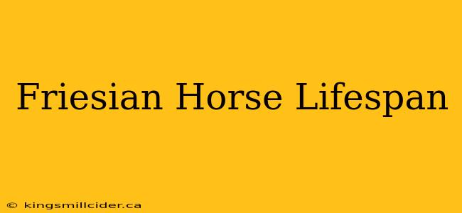 Friesian Horse Lifespan