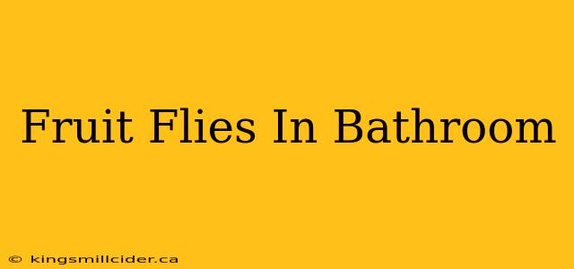 Fruit Flies In Bathroom