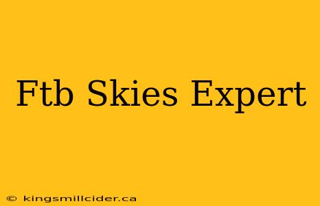 Ftb Skies Expert